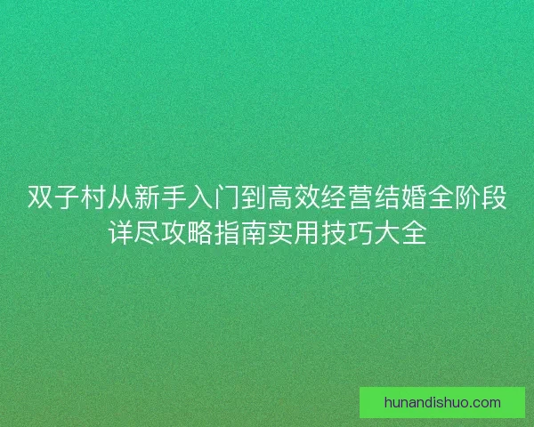 双子村从新手入门到高效经营结婚全阶段详尽攻略指南实用技巧大全