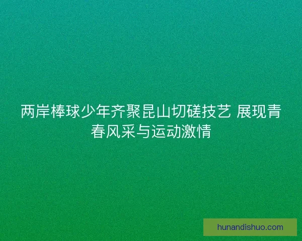 两岸棒球少年齐聚昆山切磋技艺 展现青春风采与运动激情
