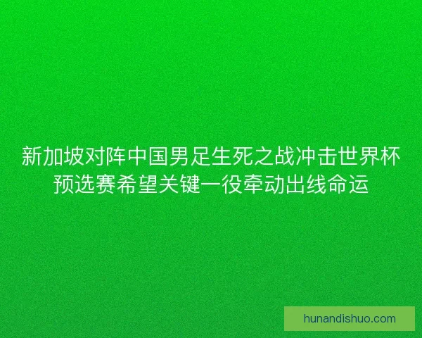 新加坡对阵中国男足生死之战冲击世界杯预选赛希望关键一役牵动出线命运