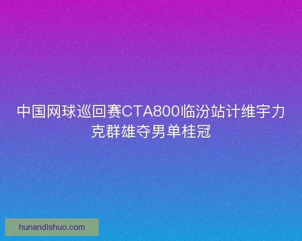 中国网球巡回赛CTA800临汾站计维宇力克群雄夺男单桂冠